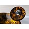 Anzzi Toa Kindled Amber Deco-Glass Vessel Sink with Matching Chrome Faucet LS-AZ8102 - alternate 9